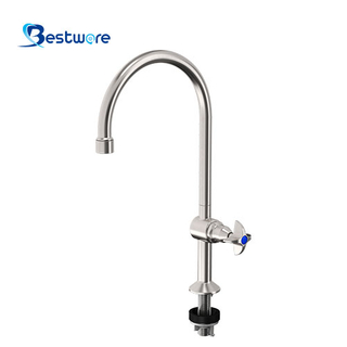Stainless Steel Single-spout Educational Laboratory Faucet - Deck Mount